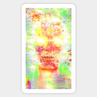 Skull Art Sticker